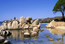 上海后花园嘉兴绍兴，打造生态旅游新热点